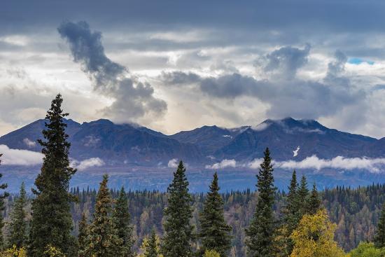 Premium Photographic Print, , large