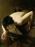 Narcissus-Jan Moreelse-Mounted Giclee Print