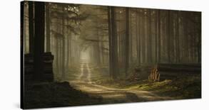 A Forest Walk-Jan Paul Kraaij-Framed Photographic Print