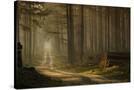 Stretched Canvas