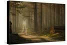 Stretched Canvas