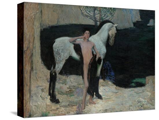 Stretched Canvas Print, , large