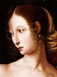 Lucretia: a Fragment-Jan Sanders Van Hemesen-Giclee Print