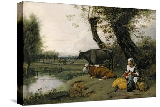 Stretched Canvas Print, , large