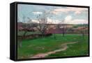 Canvas Black