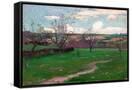 Canvas Black