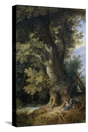Stretched Canvas Print, , large