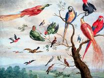 The Chorus of Birds, C.1650-1675-Jan Thomasz. van Kessel-Laminated Giclee Print