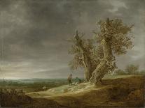 Vista of the Floodplain of a River (Panorama in Guelders)-Jan Van Goyen-Art Print