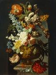 Tulips, Roses, Hyacinth, Auricula & Other Flowers in a Sculpted Urn on a Stone Pedestal in a Niche-Jan van Huysum (Follower of)-Giclee Print