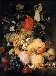 Still Life with Fruit-Jan van Huysum-Art Print