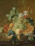 A Basket of Fruit, 1744-Jan van Huysum-Giclee Print