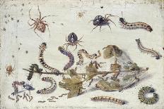 The Enemies of Snakes-Jan van Kessel-Giclee Print