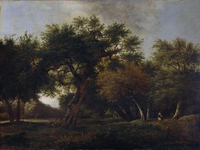 View of a Forest