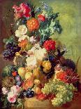 Mixed Flowers and Pineapples in an Urn with a Bird's Nest and a Cat-Jan van Os-Giclee Print