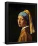 Jan Vermeer van Delft (The girl with the pearl) Art Poster Print-null-Framed Poster