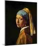 Jan Vermeer van Delft (The girl with the pearl) Art Poster Print-null-Mounted Poster