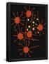 Essential Black