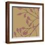 Brown Frame