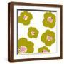Brown Frame