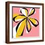 Brown Frame