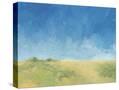 Stretched Canvas