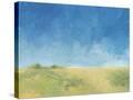 Stretched Canvas
