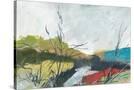 Stretched Canvas