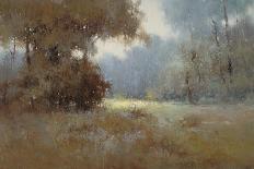 Misty Morning Fog-Jan Zhang-Framed Stretched Canvas