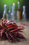 Spices, Lemon, Chilli, Herbs, Onion Sliced-Jana Ihle-Photographic Print