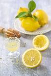 Whole and Sliced Lemons on Grey Subsoil-Jana Ihle-Photographic Print