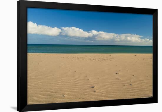 Jand?A Natural Park, Fuerteventura, Canary Islands, Spain, April 2009-Relanzón-Framed Photographic Print