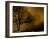 Jando-Sharon Wish-Framed Photographic Print