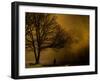 Jando-Sharon Wish-Framed Photographic Print