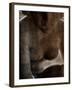 Jando-Tim Kahane-Framed Photographic Print