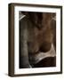 Jando-Tim Kahane-Framed Photographic Print