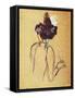 Jane Avril by Henri De Toulouse Lautrec-null-Framed Stretched Canvas