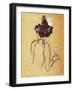 Jane Avril by Henri De Toulouse Lautrec-null-Framed Giclee Print