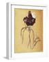 Jane Avril by Henri De Toulouse Lautrec-null-Framed Giclee Print