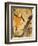 Jane Avril-Henri de Toulouse-Lautrec-Framed Premium Giclee Print
