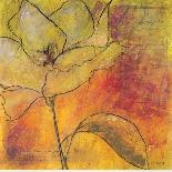 Scripted Bloom 1-Jane Bellows-Art Print