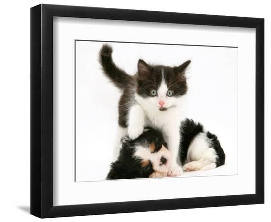 Premium Photographic Print, , large
