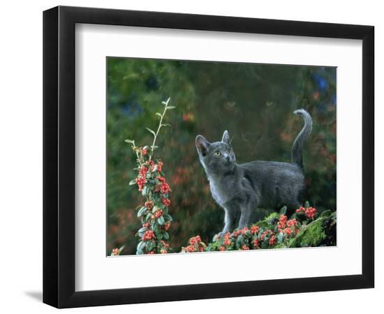 Premium Photographic Print, , large