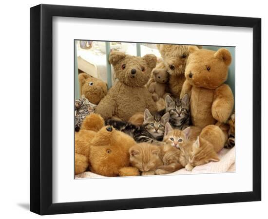 Premium Photographic Print, , large