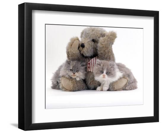 Premium Photographic Print, , large