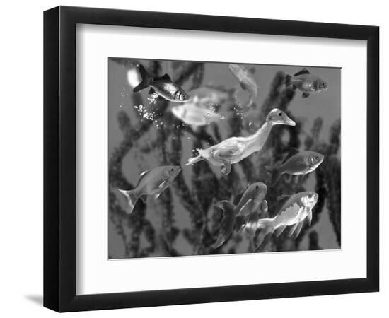 Premium Photographic Print, , large