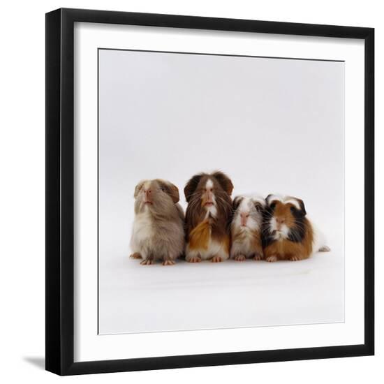 Premium Photographic Print, , large