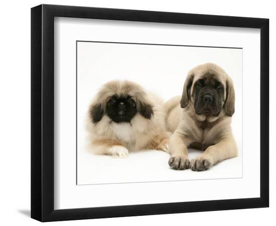 Premium Photographic Print, , large