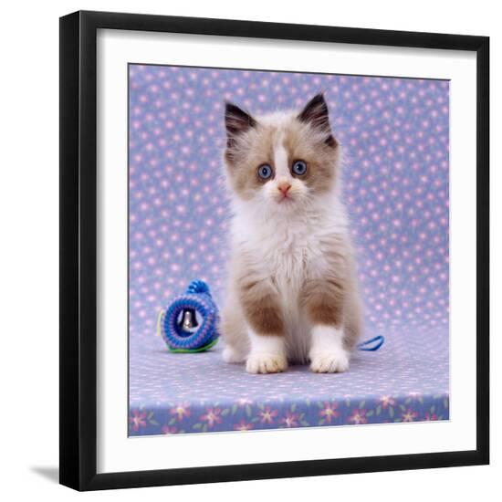 Photographic Print, , large