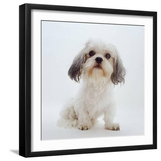 Photographic Print, , large